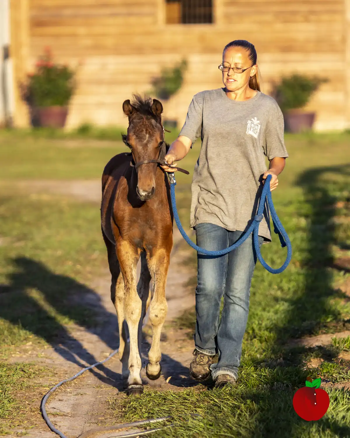 Steph-walking-foal-BH23-258 student walking foal